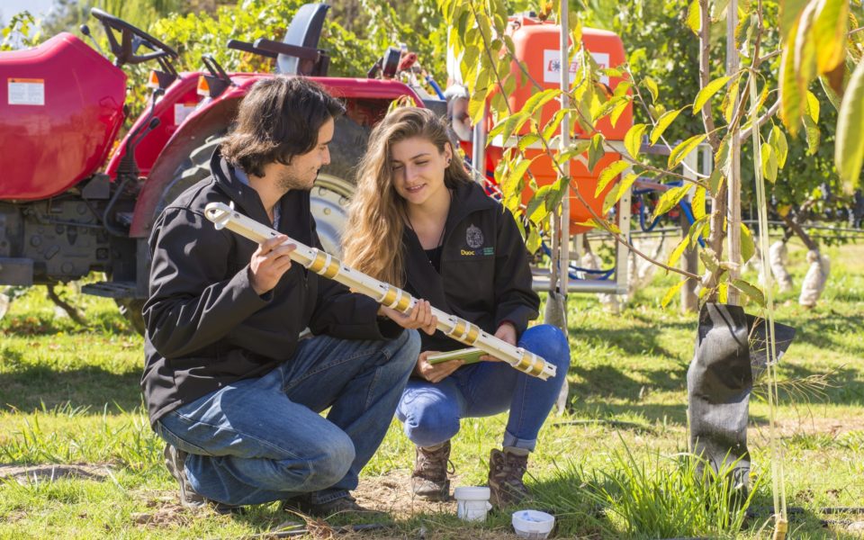 ingeniería agrícola