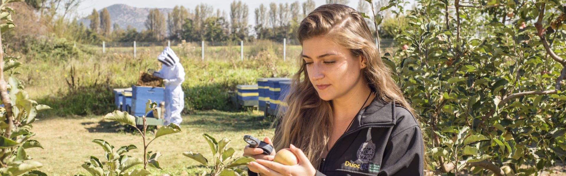 Permanecer Violín Margaret Mitchell Ingeniería en Medio Ambiente – Duoc UC