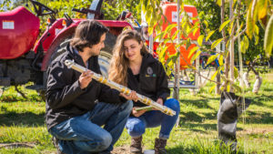 escuela recursos naturales