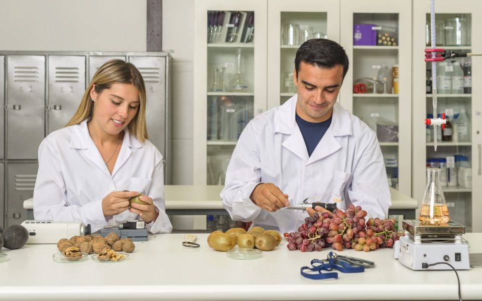 técnico en calidad de alimentos