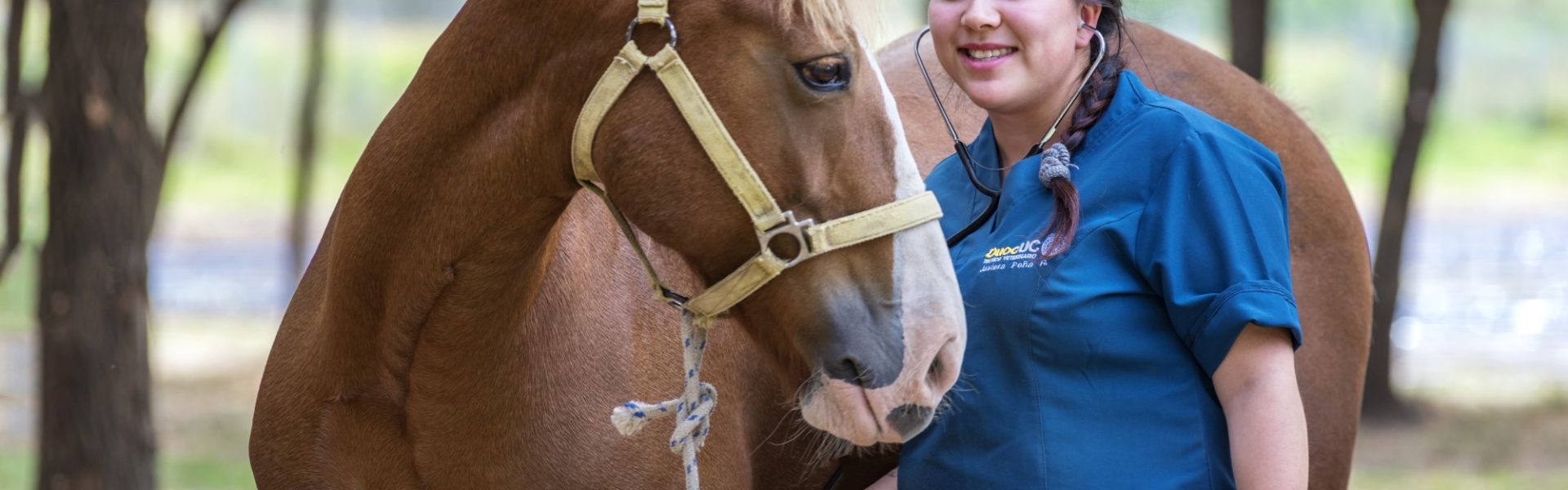 tecnico veterinario