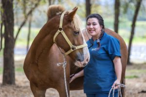 tecnico veterinario