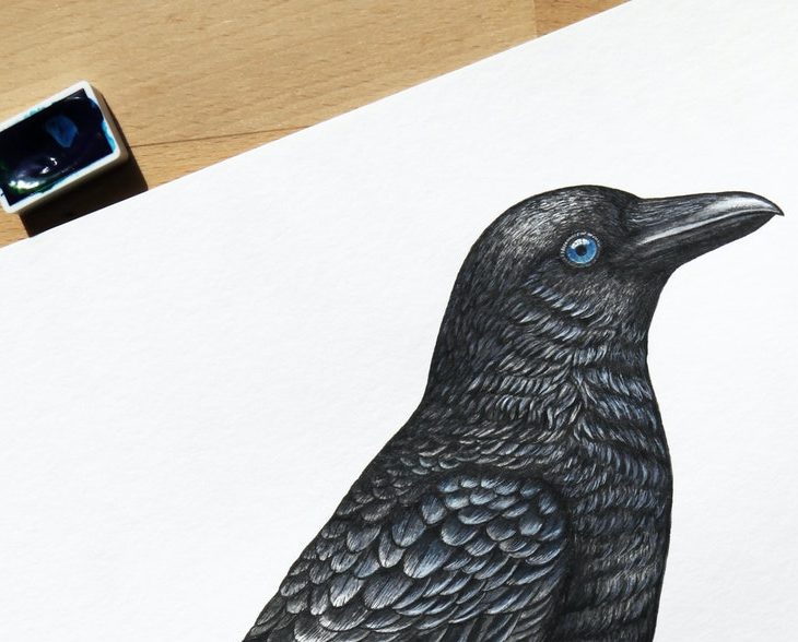 ilustracion