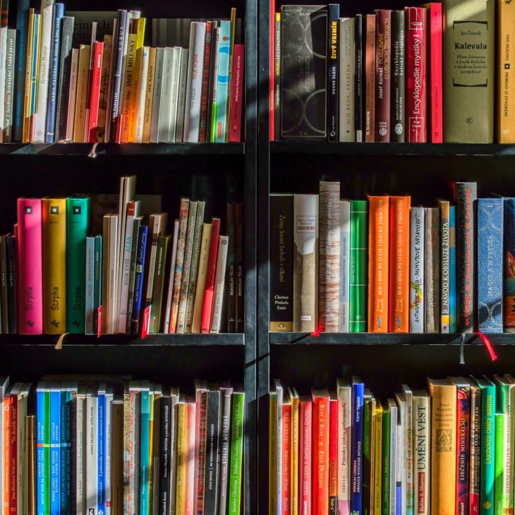 biblioteca