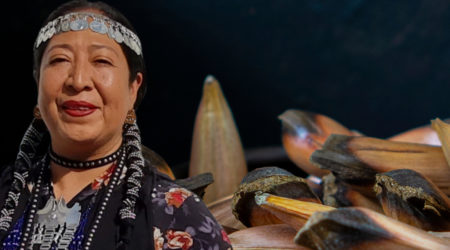 cocina mapuche