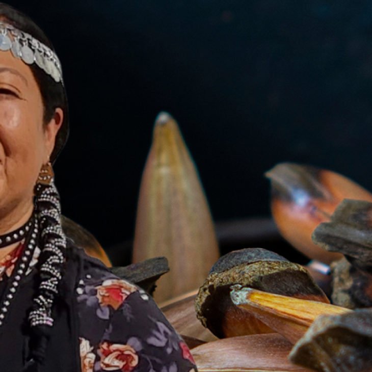 cocina mapuche