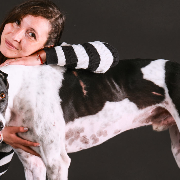 taller perros