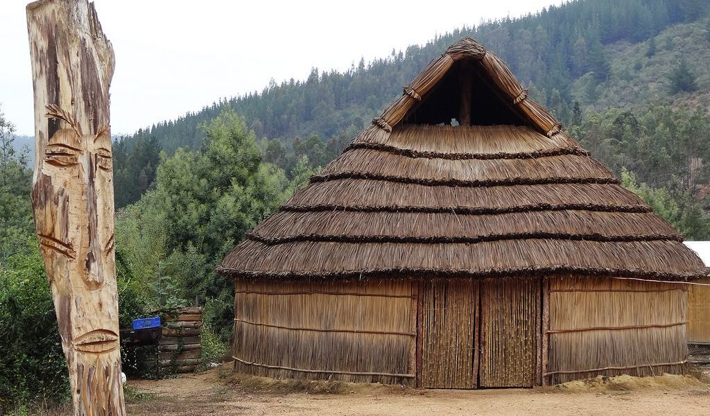 ruca mapuche