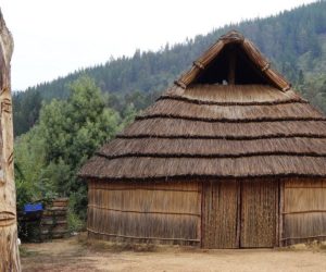 ruca mapuche