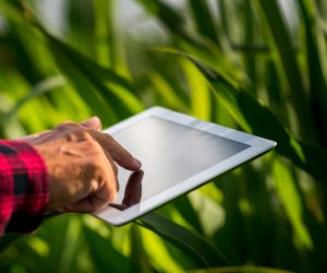 tecnología agricultura