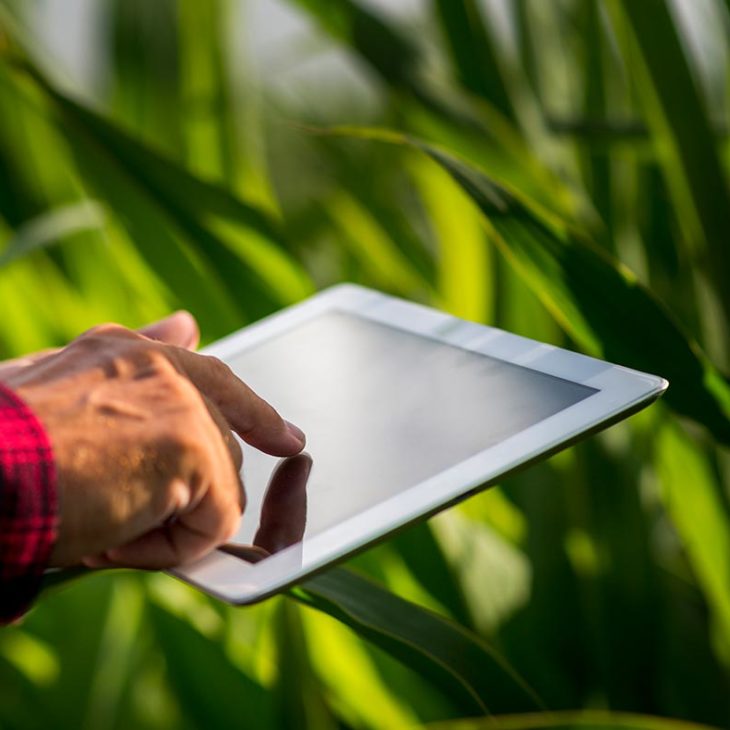 tecnología agricultura