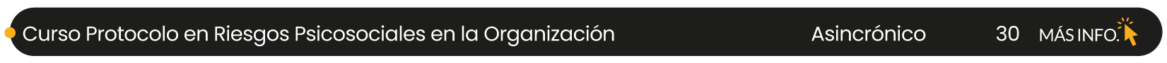 CURSO PROTOCOLO DE RIESGOS PSICOSOCIALES EN LA ORGANIZACIÓN