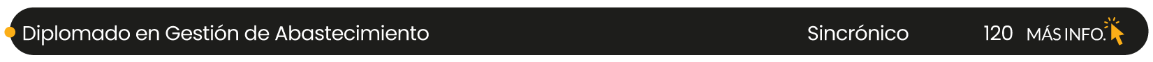 DIPLOMADO EN GESTION DE ABASTECIMIENTO