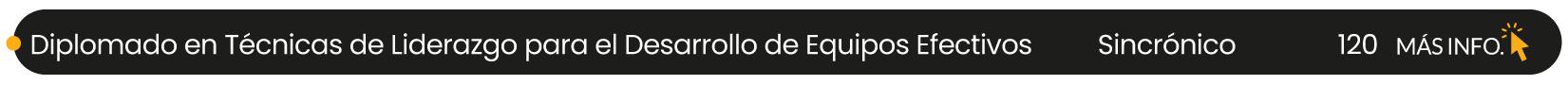 DIPLOMADO EN TÉCNICAS DE LIDERAZGO PARA EL DESARROLLO DE EQUIPOS EFECTIVOS