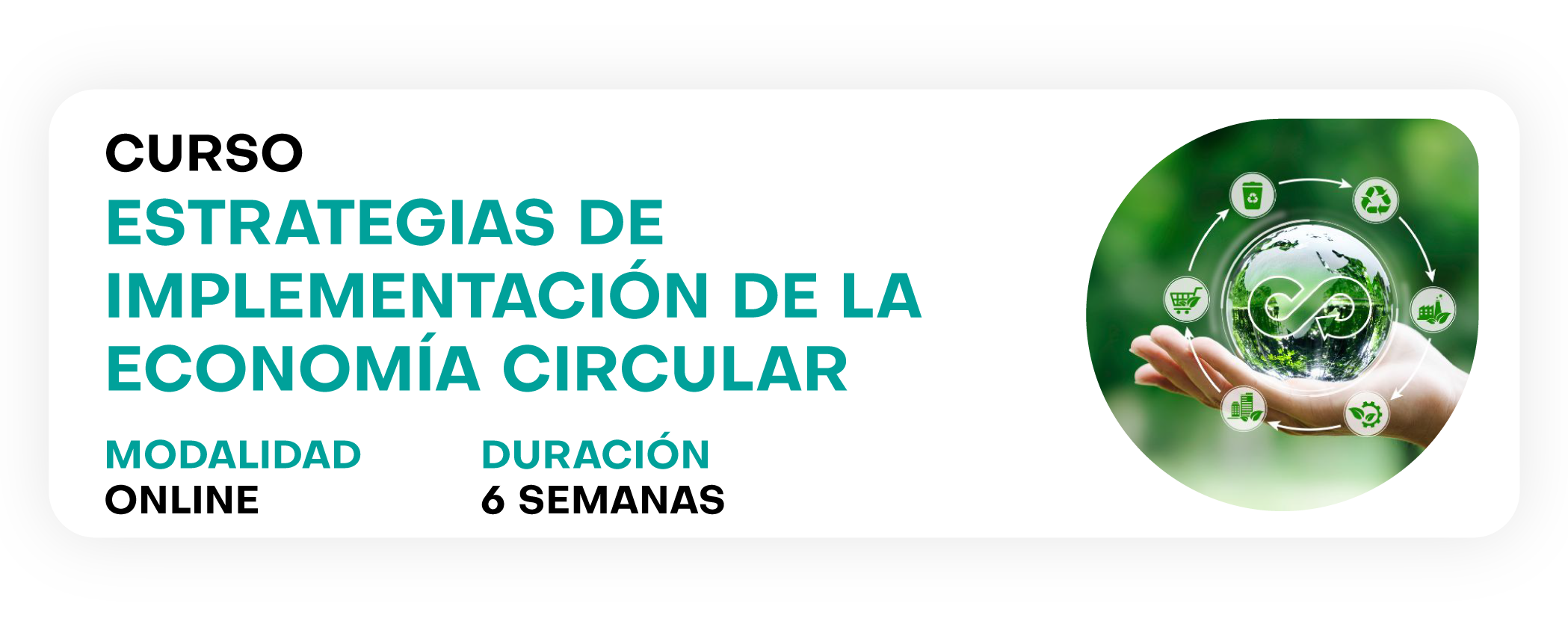 Curso estrategias de implementación de la economía circular