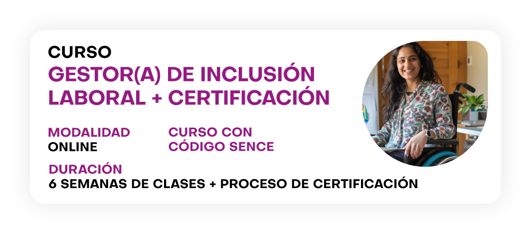 Curso Gestor (A) de Inclusión Laboral + Certificación