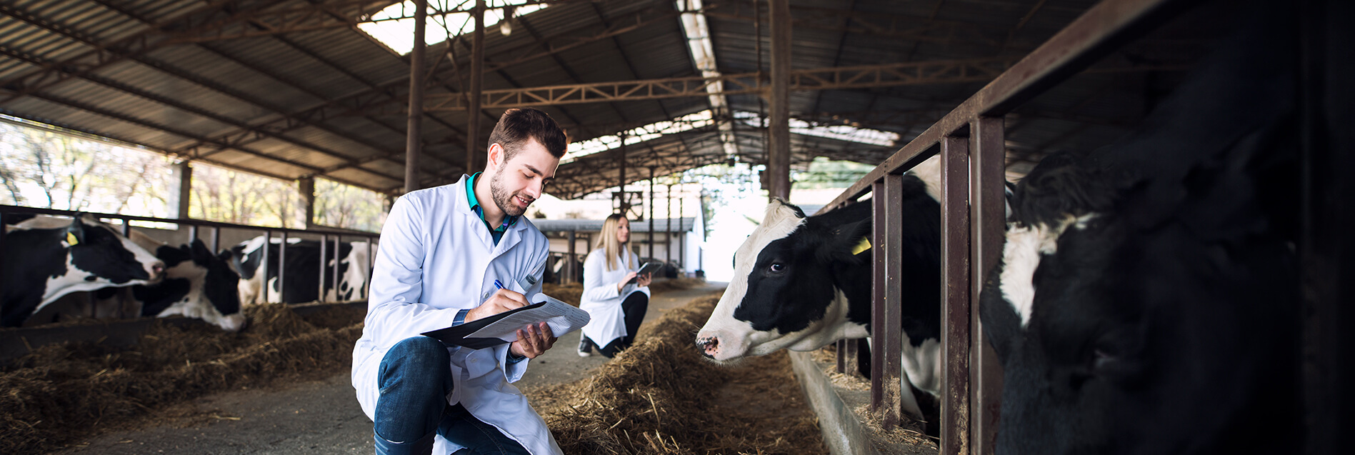 Técnico Veterinario y Pecuario